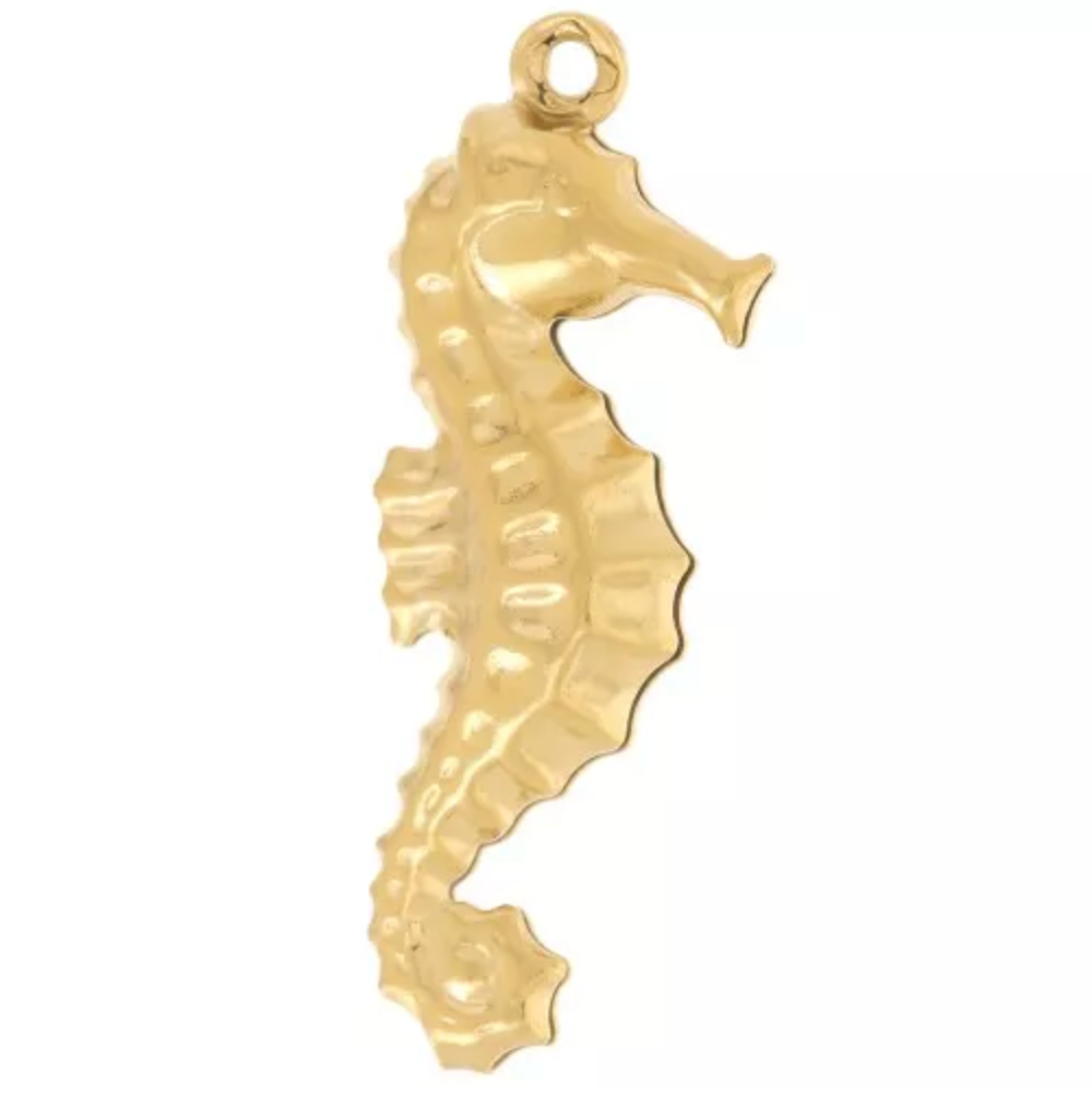 Charm n°5 - hippocampe