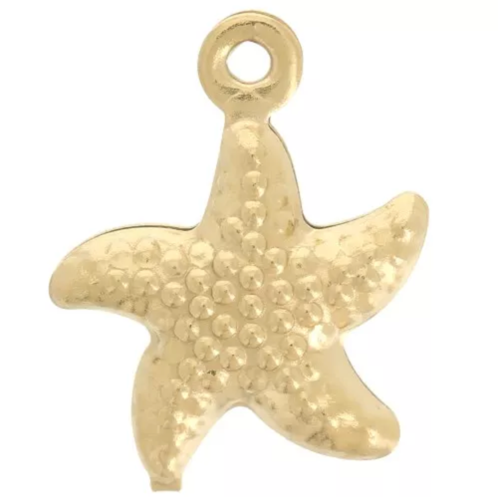 Charm n°23 étoile de mer bombée