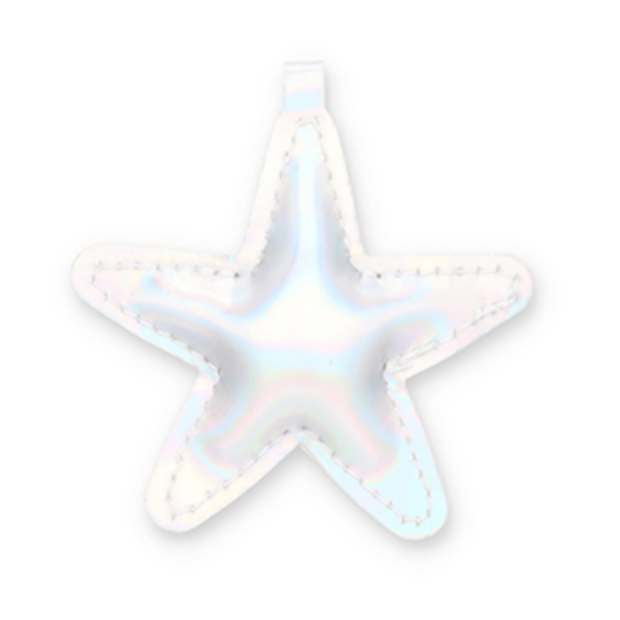 Étoile holographique argentée