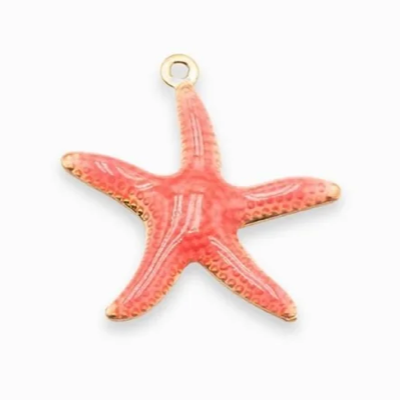 Charm n°8 - étoile de mer saumon